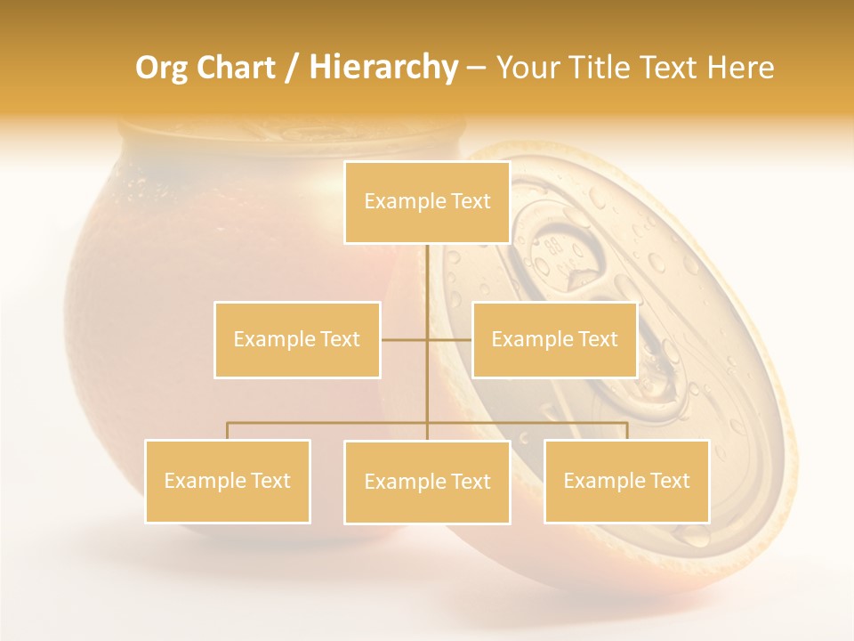 Wet Still Life Part PowerPoint Template