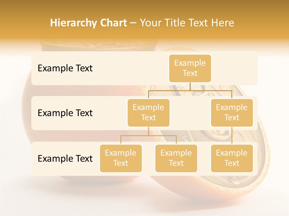 Wet Still Life Part PowerPoint Template
