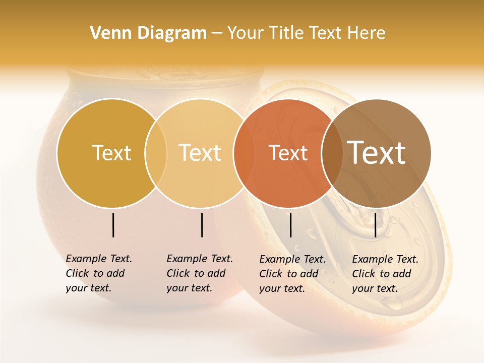 Wet Still Life Part PowerPoint Template