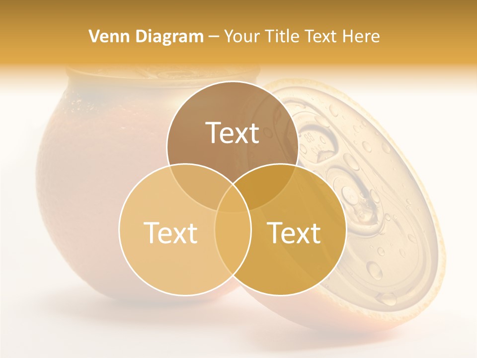 Wet Still Life Part PowerPoint Template