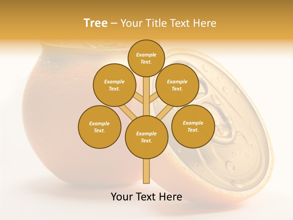 Wet Still Life Part PowerPoint Template