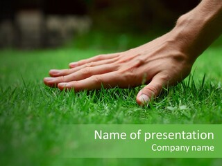 Field Relaxation Natural PowerPoint Template