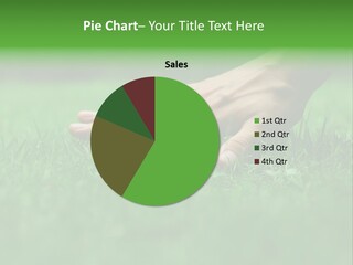 Field Relaxation Natural PowerPoint Template