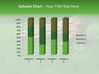 Field Relaxation Natural PowerPoint Template