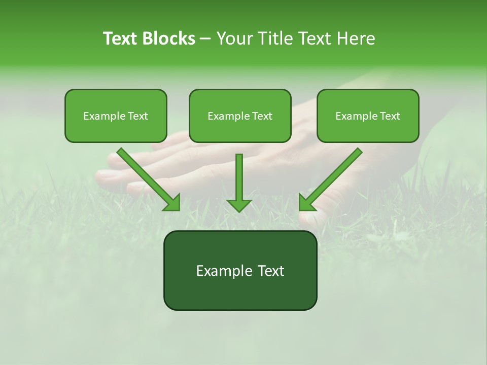 Field Relaxation Natural PowerPoint Template