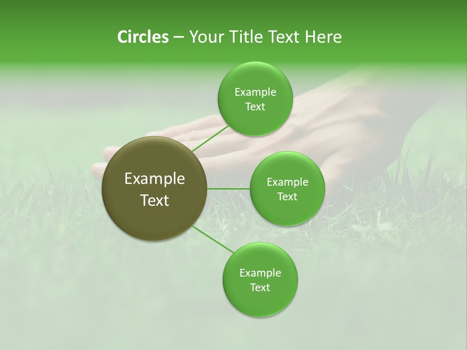 Field Relaxation Natural PowerPoint Template