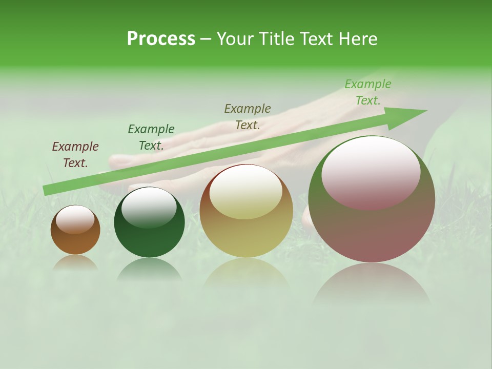Field Relaxation Natural PowerPoint Template