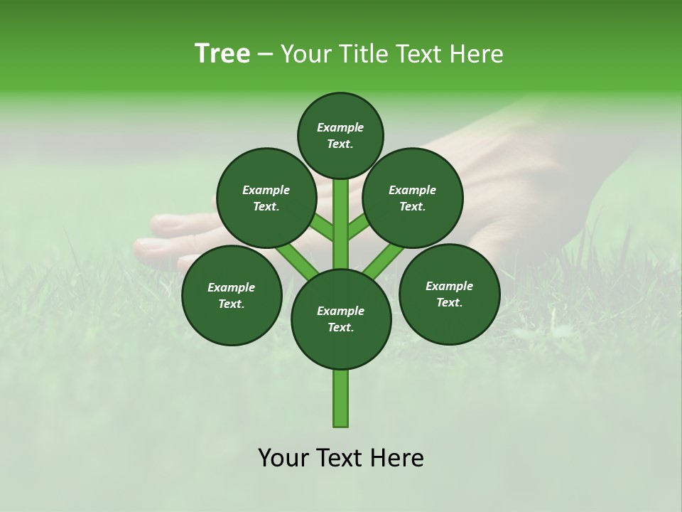 Field Relaxation Natural PowerPoint Template