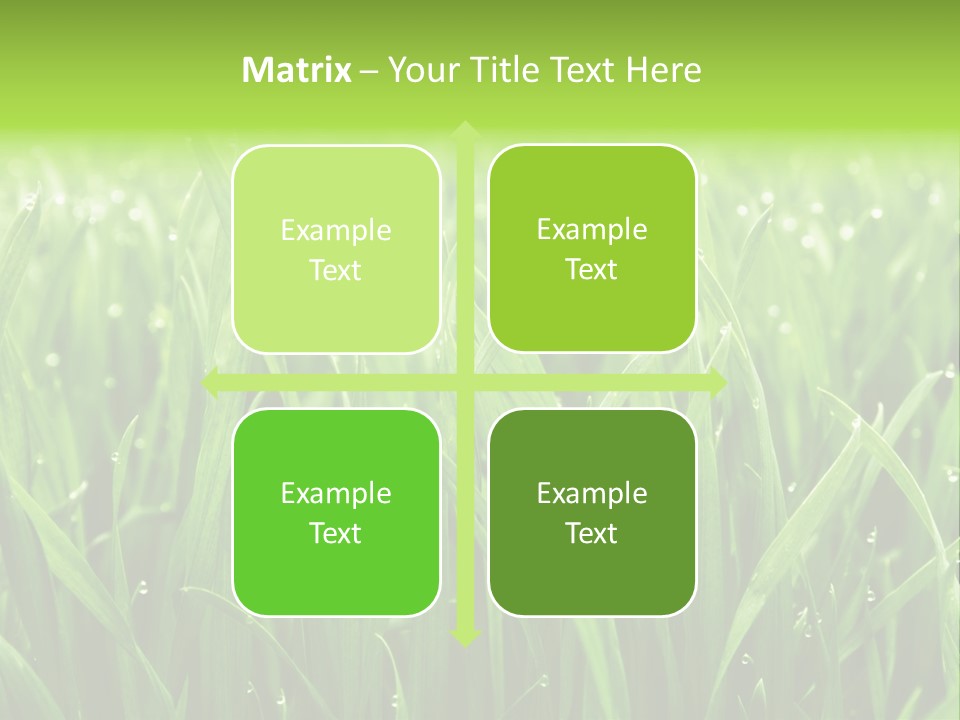 Season Contrast Moist PowerPoint Template