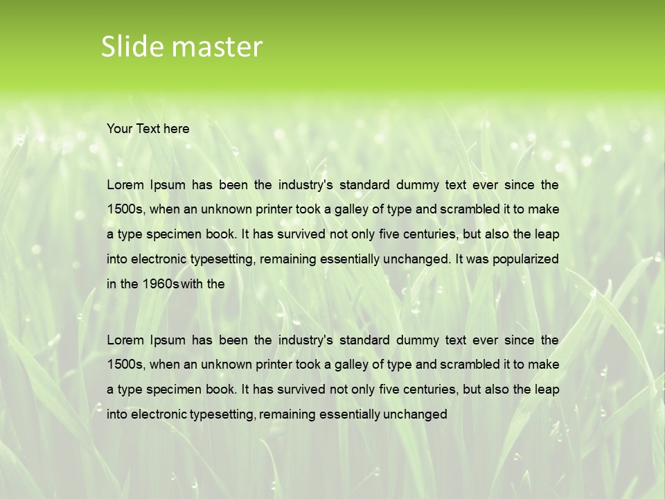 Season Contrast Moist PowerPoint Template