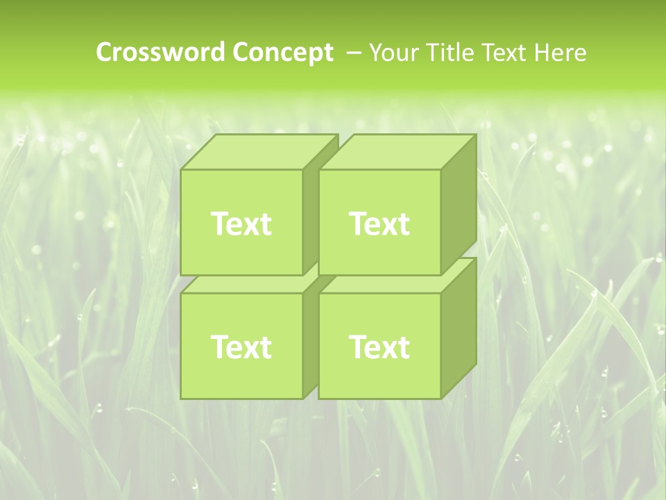 Season Contrast Moist PowerPoint Template