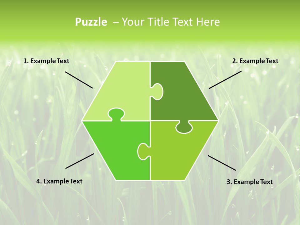 Season Contrast Moist PowerPoint Template