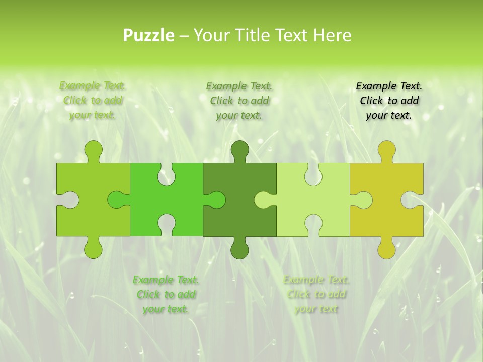 Season Contrast Moist PowerPoint Template