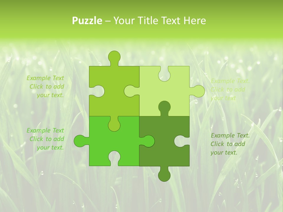 Season Contrast Moist PowerPoint Template