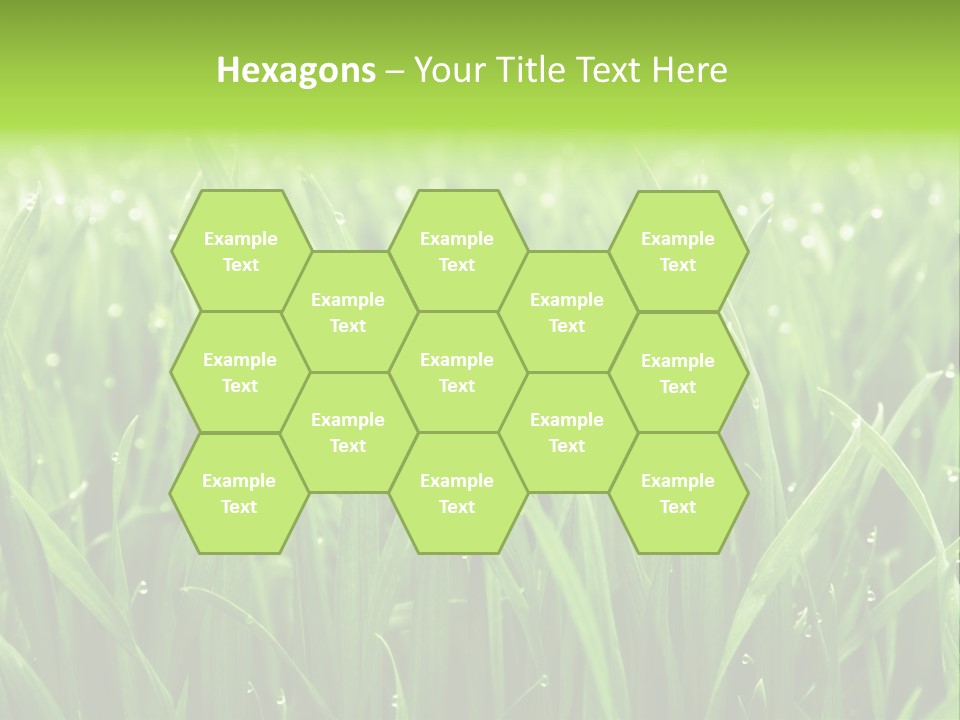 Season Contrast Moist PowerPoint Template