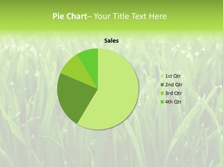 Season Contrast Moist PowerPoint Template