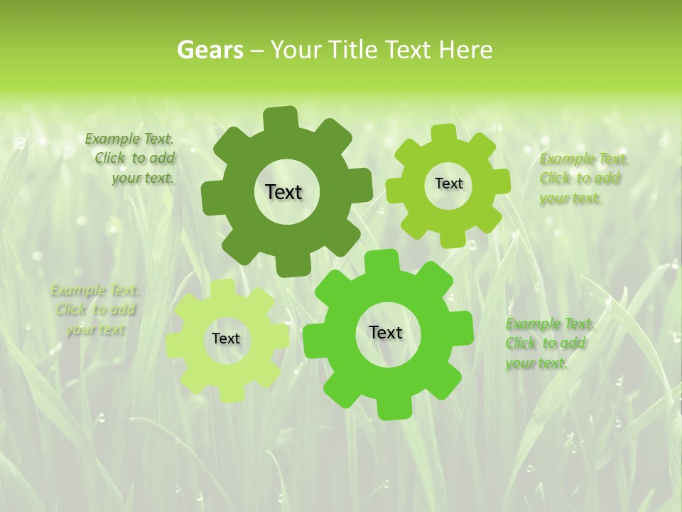 Season Contrast Moist PowerPoint Template