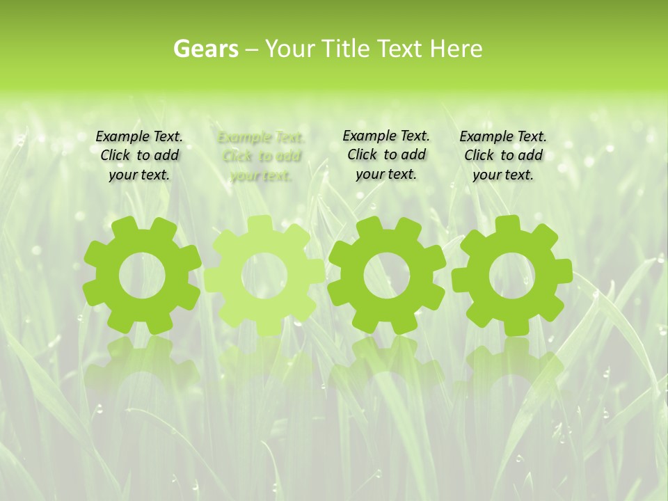 Season Contrast Moist PowerPoint Template