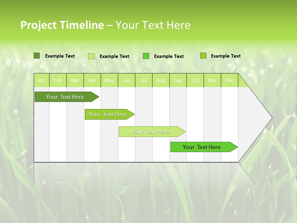 Season Contrast Moist PowerPoint Template