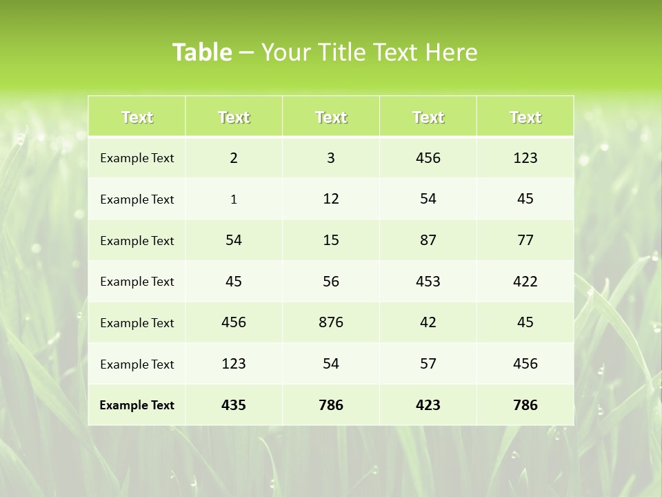 Season Contrast Moist PowerPoint Template