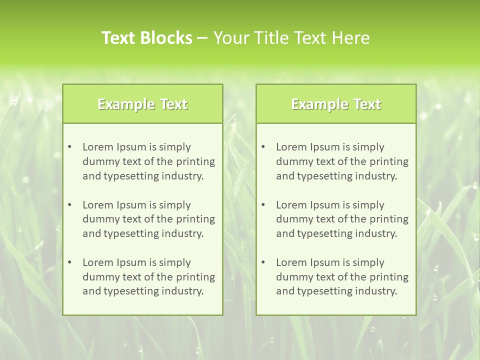 Season Contrast Moist PowerPoint Template