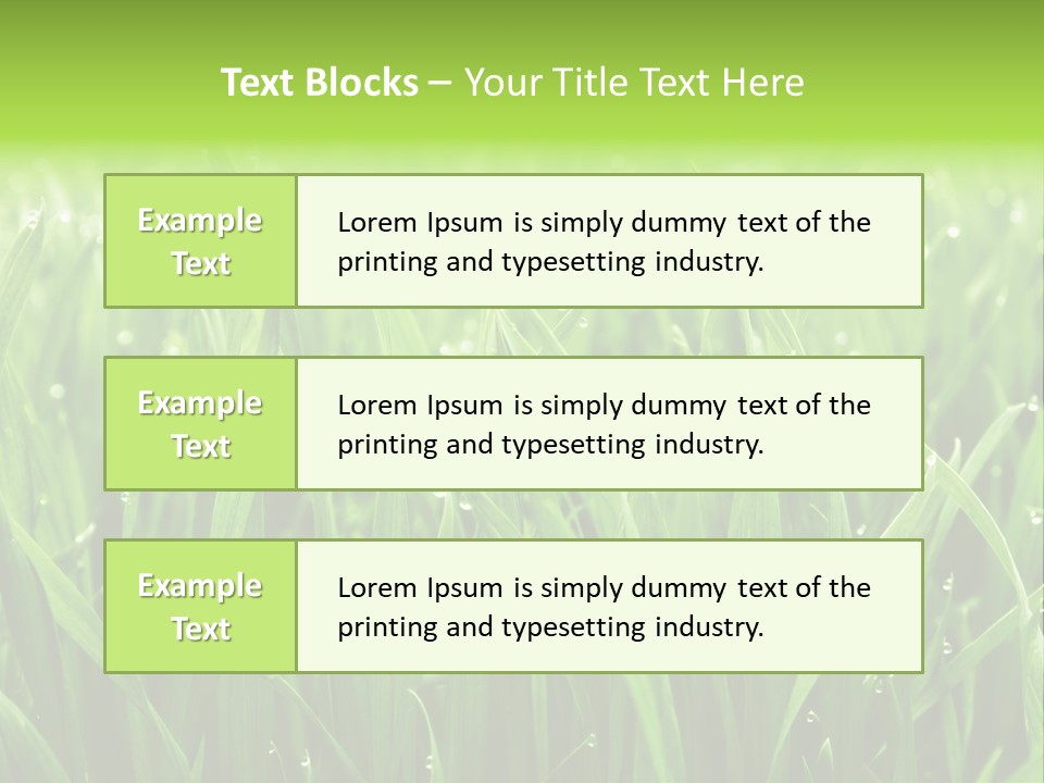 Season Contrast Moist PowerPoint Template