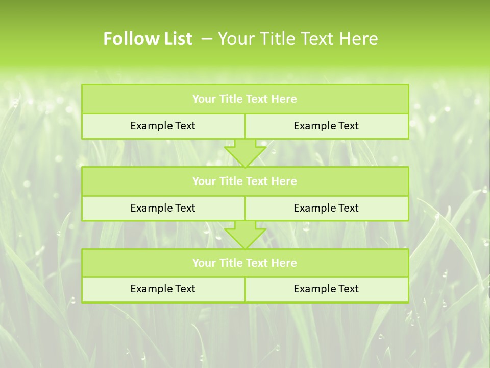 Season Contrast Moist PowerPoint Template