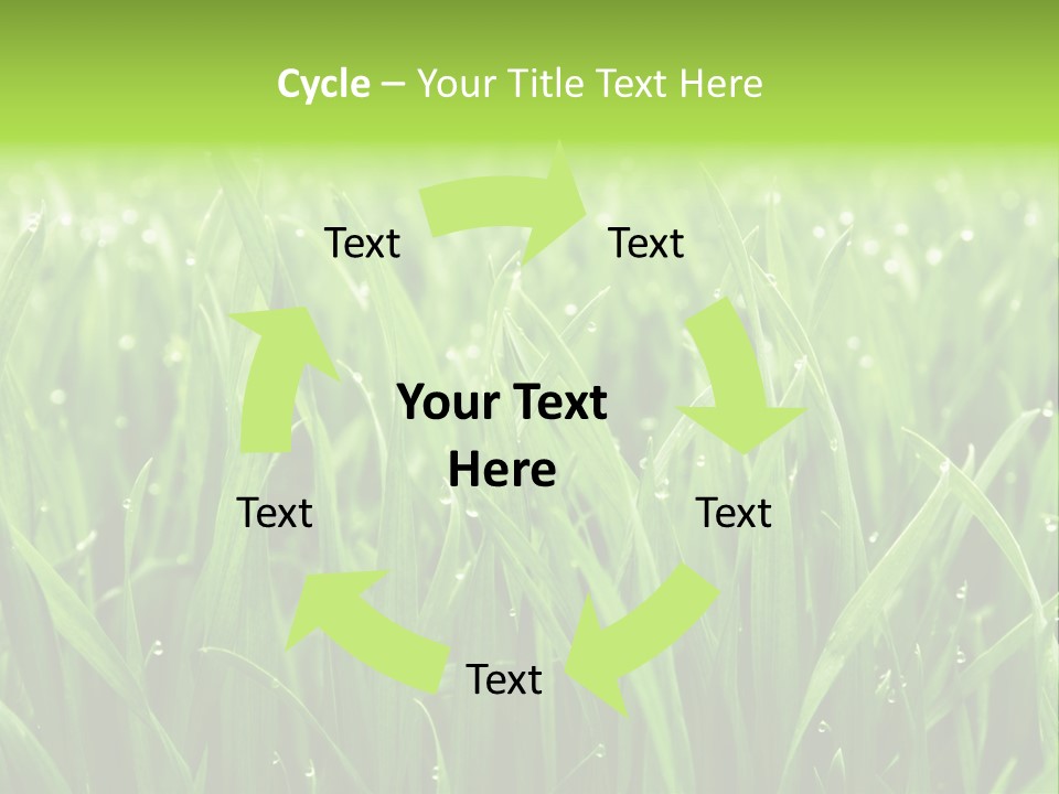 Season Contrast Moist PowerPoint Template