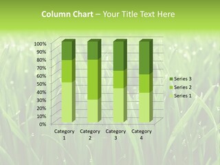 Season Contrast Moist PowerPoint Template