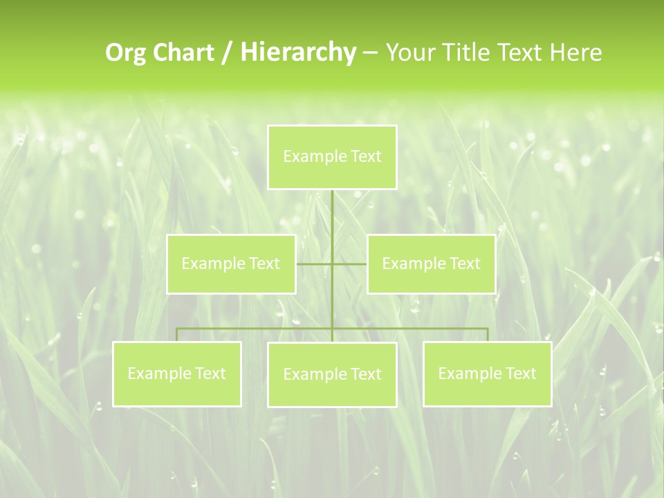 Season Contrast Moist PowerPoint Template