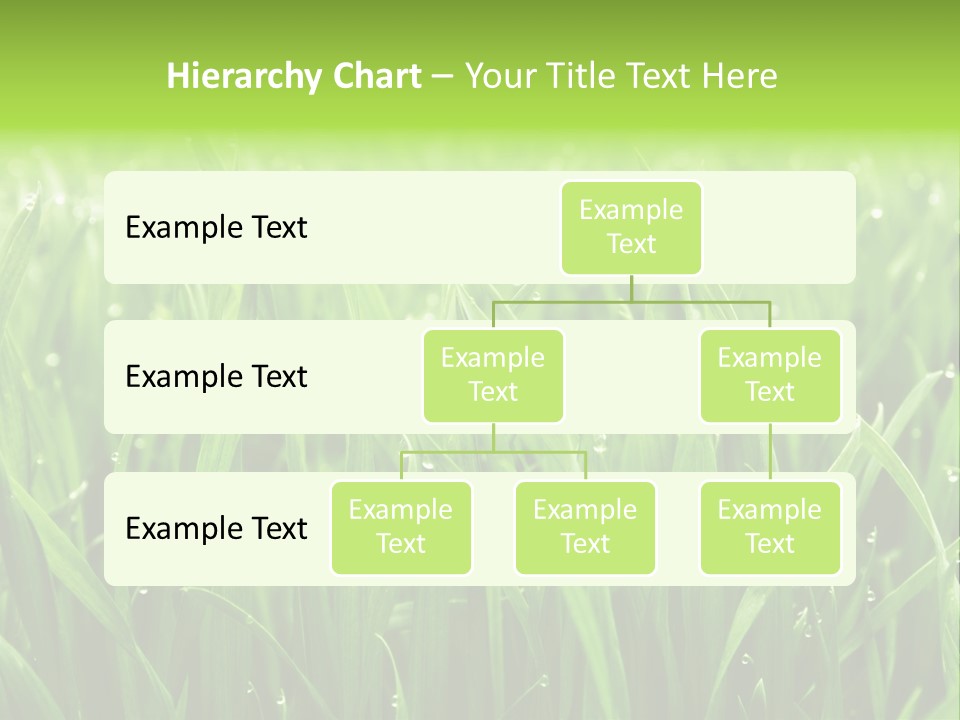 Season Contrast Moist PowerPoint Template