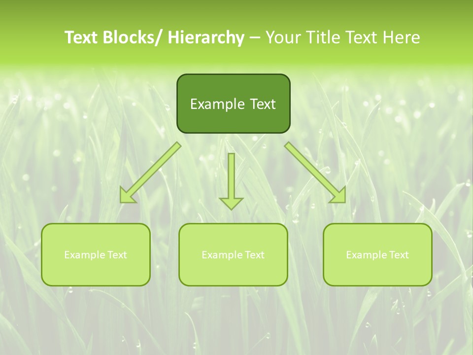 Season Contrast Moist PowerPoint Template