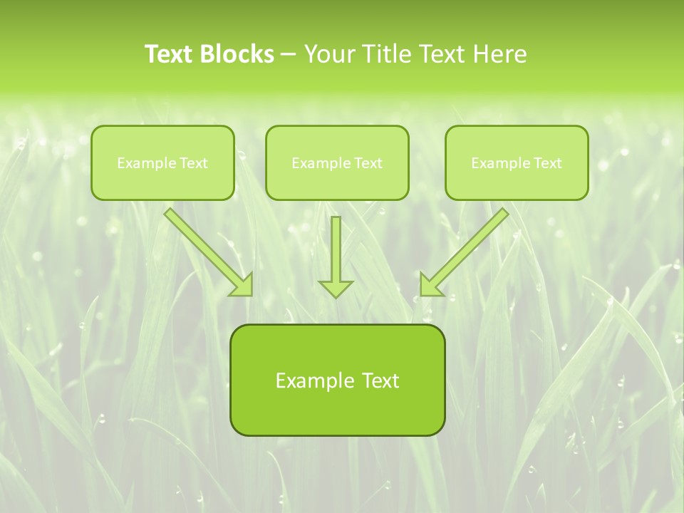 Season Contrast Moist PowerPoint Template