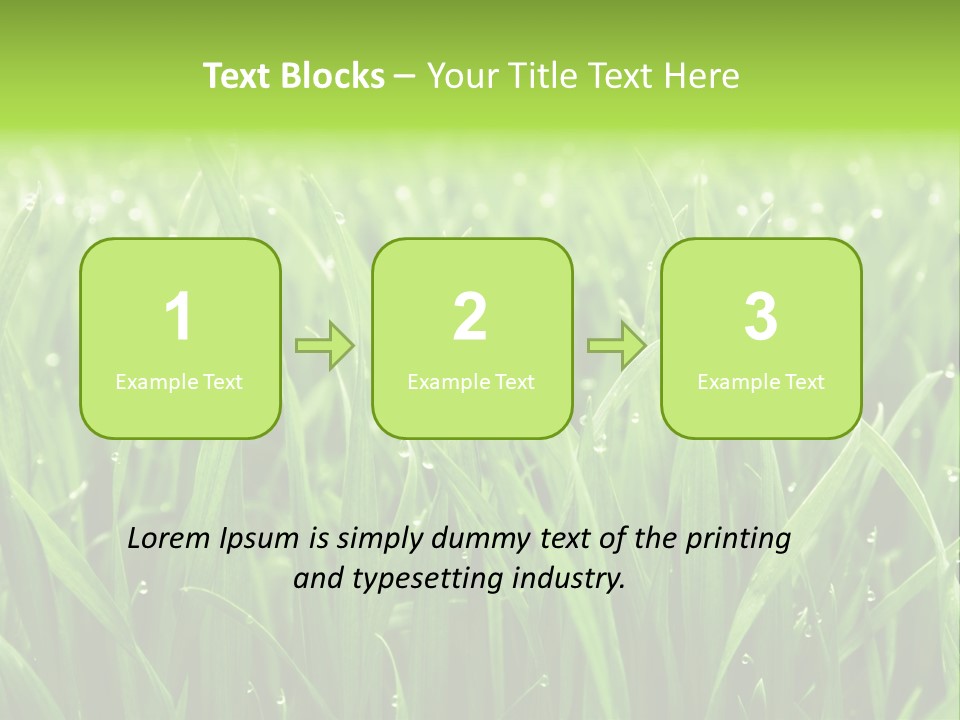 Season Contrast Moist PowerPoint Template