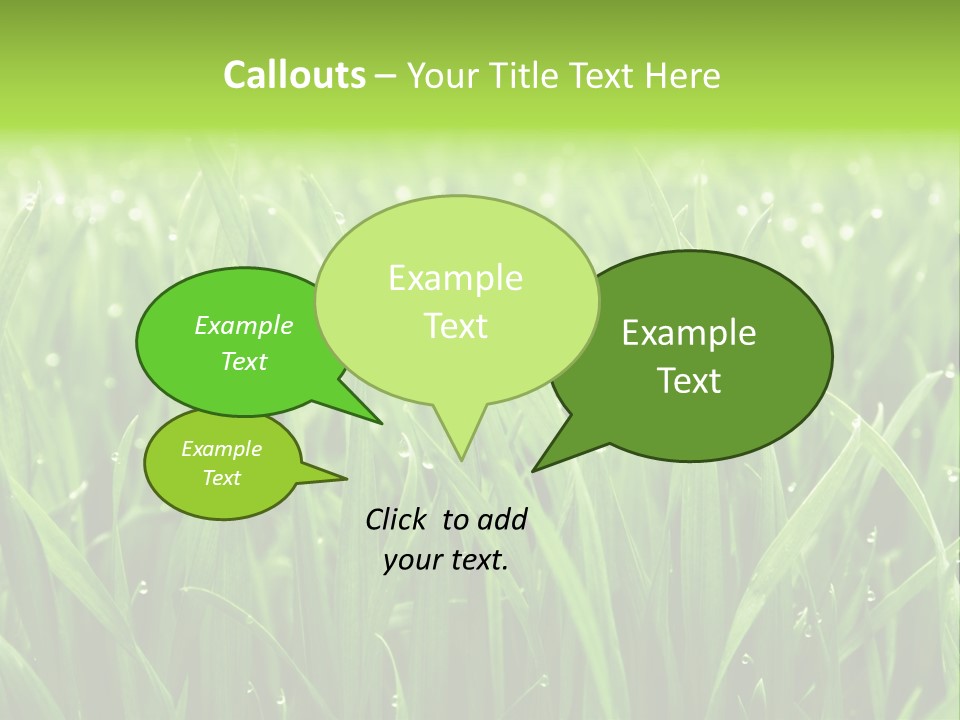 Season Contrast Moist PowerPoint Template