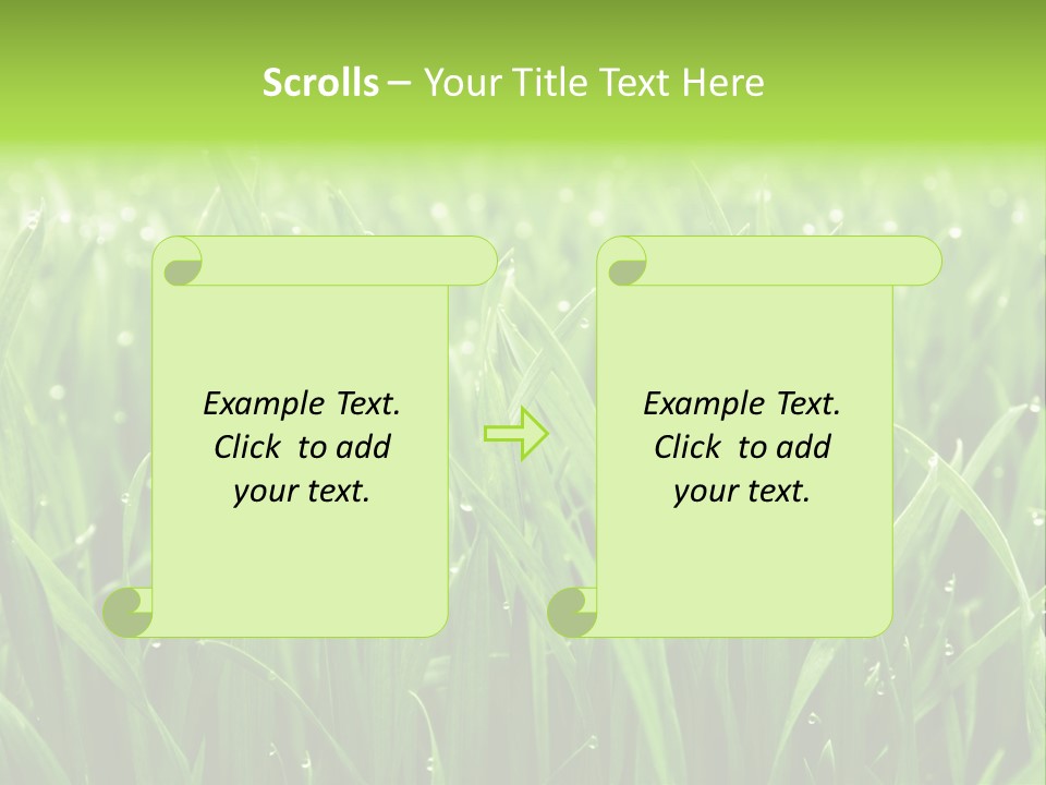 Season Contrast Moist PowerPoint Template