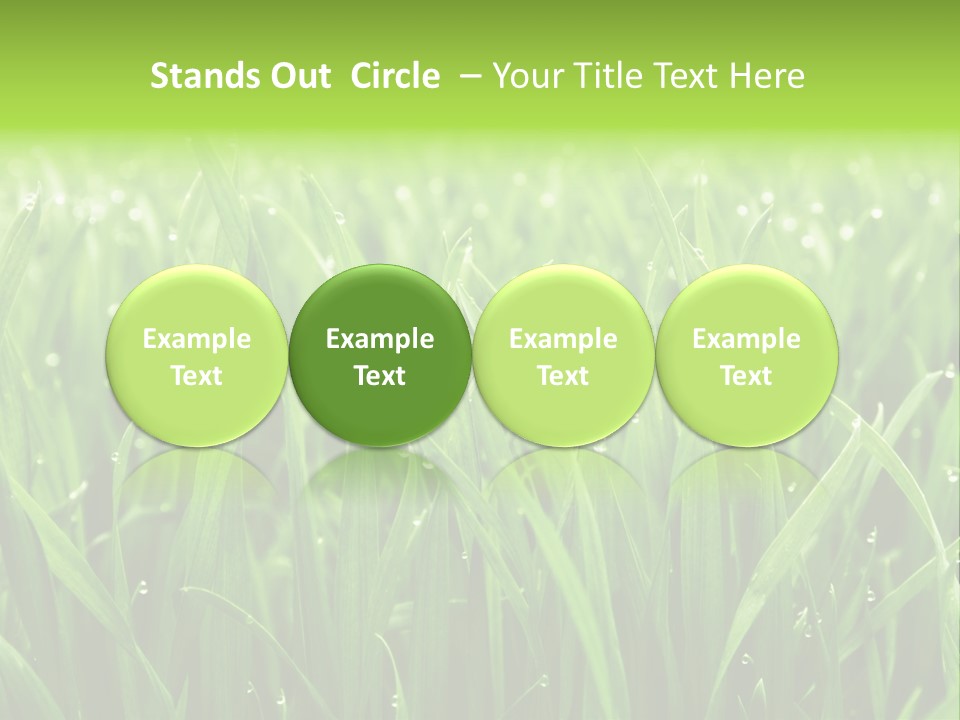 Season Contrast Moist PowerPoint Template