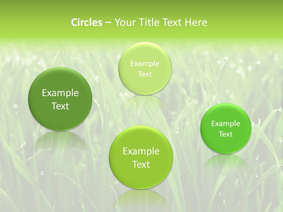 Season Contrast Moist PowerPoint Template