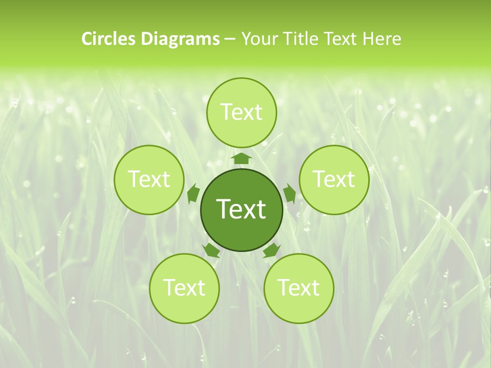 Season Contrast Moist PowerPoint Template