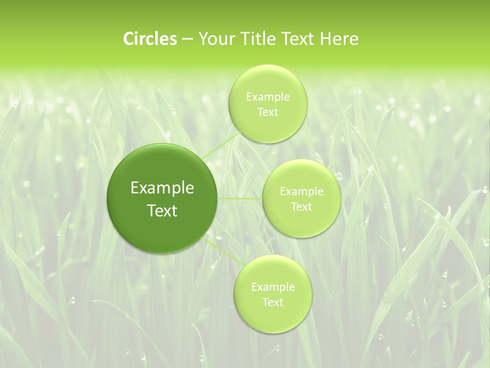 Season Contrast Moist PowerPoint Template