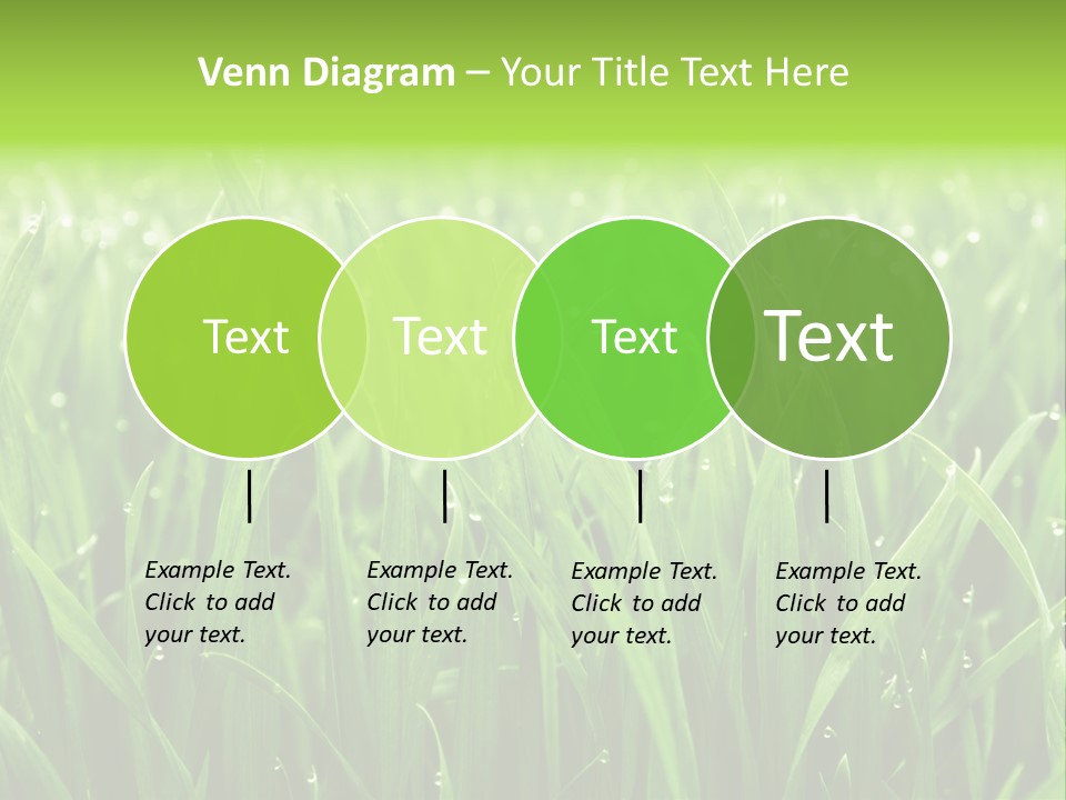 Season Contrast Moist PowerPoint Template