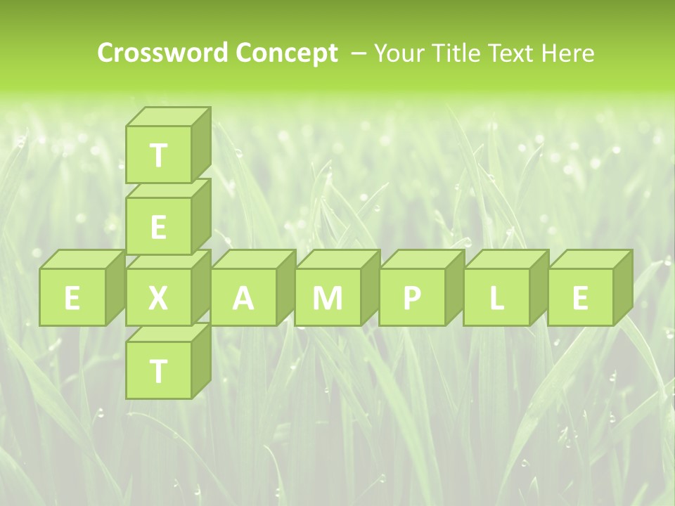 Season Contrast Moist PowerPoint Template