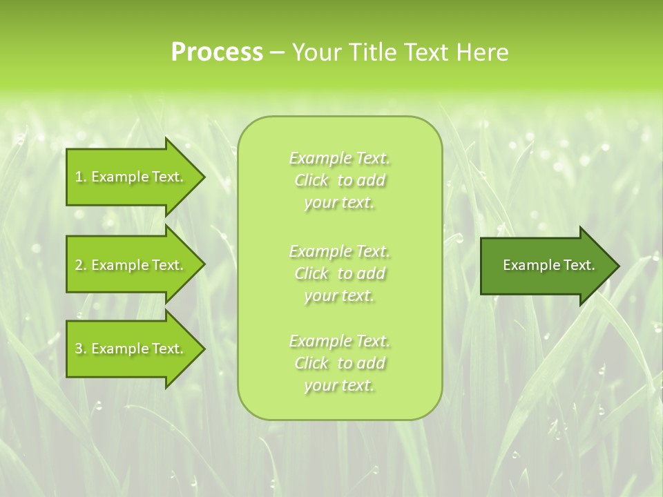 Season Contrast Moist PowerPoint Template