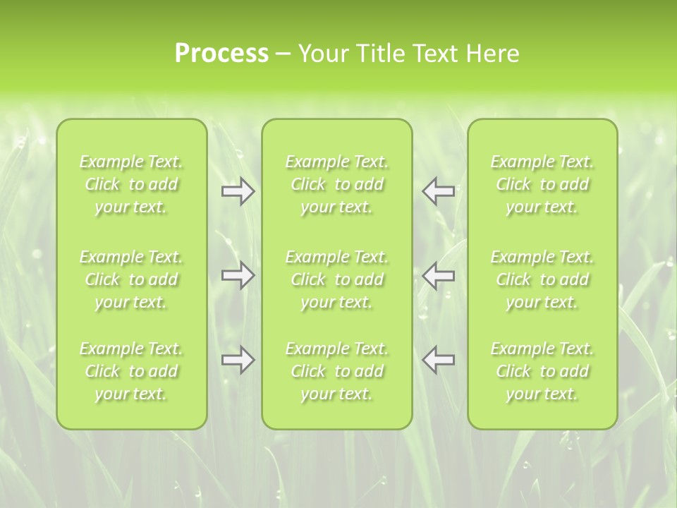 Season Contrast Moist PowerPoint Template