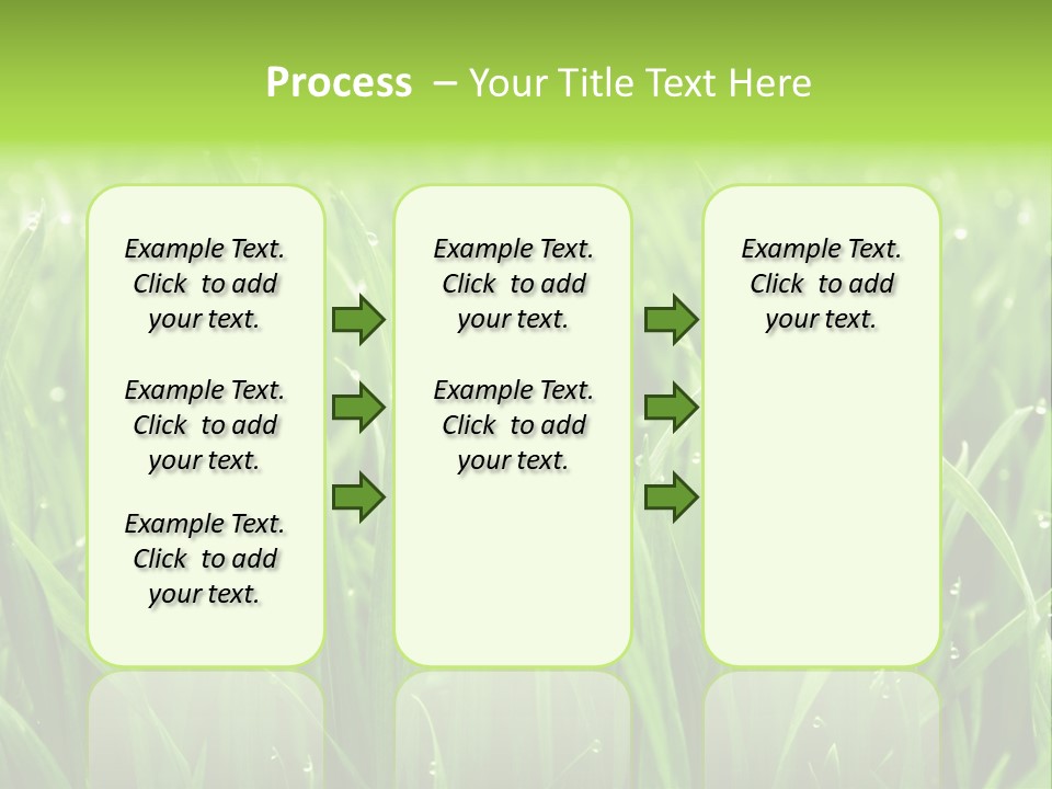 Season Contrast Moist PowerPoint Template