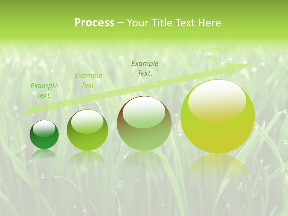 Season Contrast Moist PowerPoint Template