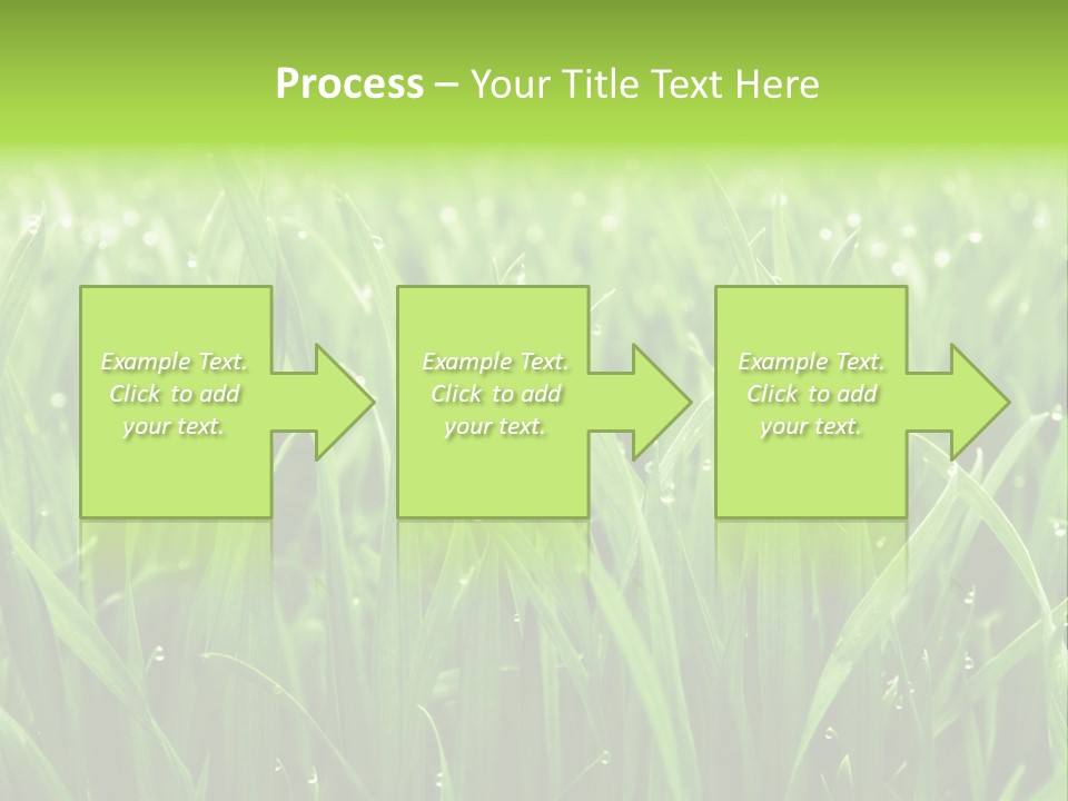 Season Contrast Moist PowerPoint Template