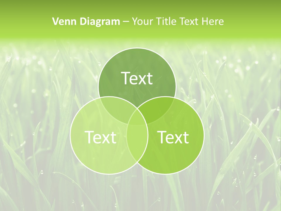 Season Contrast Moist PowerPoint Template