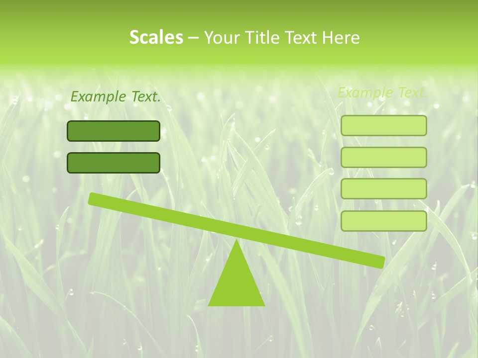 Season Contrast Moist PowerPoint Template