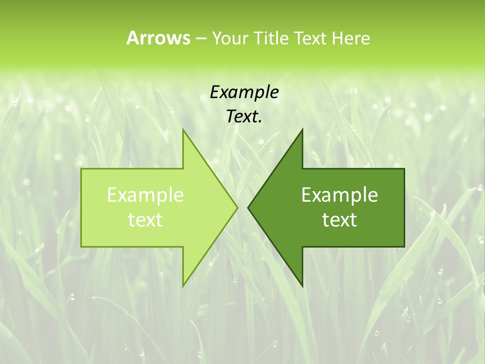 Season Contrast Moist PowerPoint Template